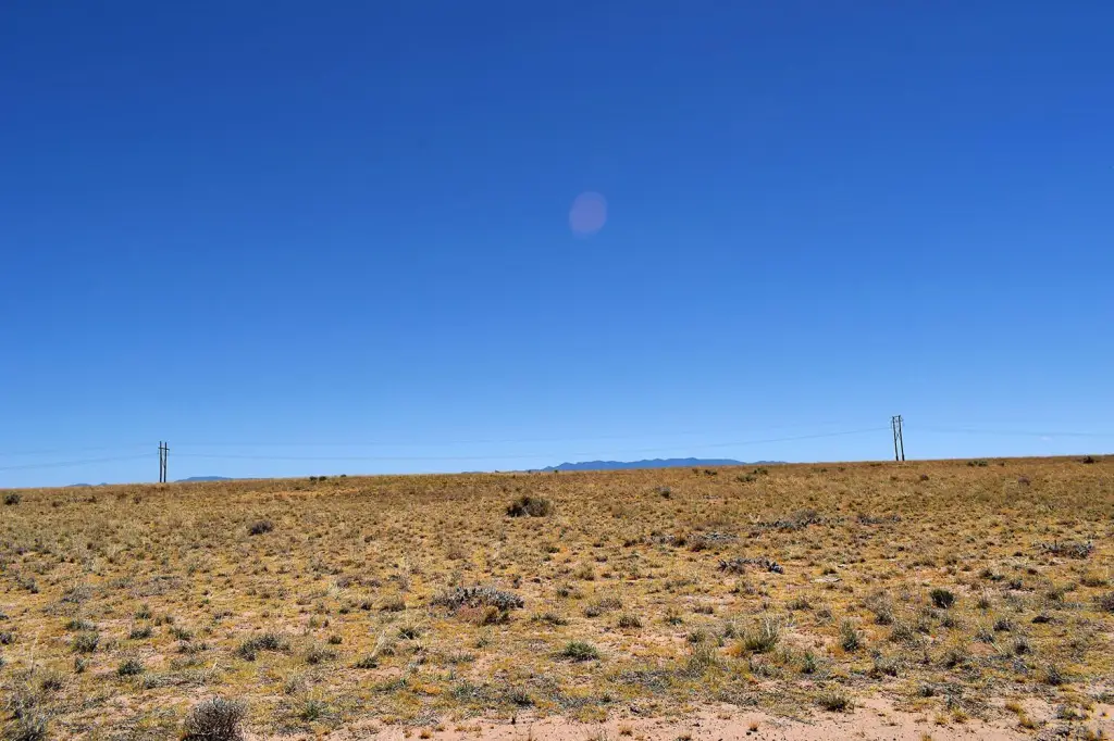 Picture 48