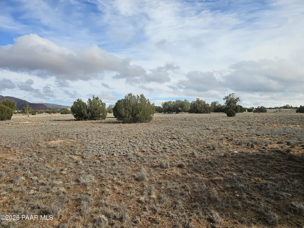 Picture 14