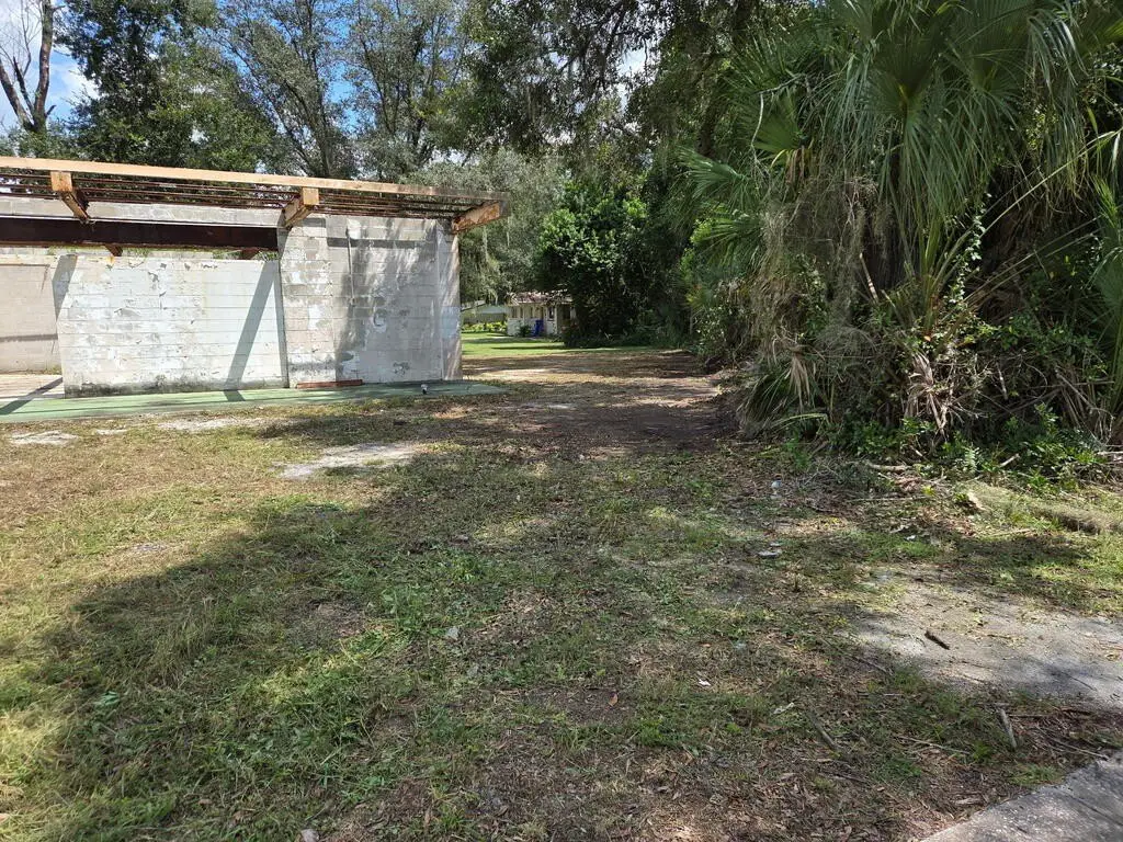Picture 6