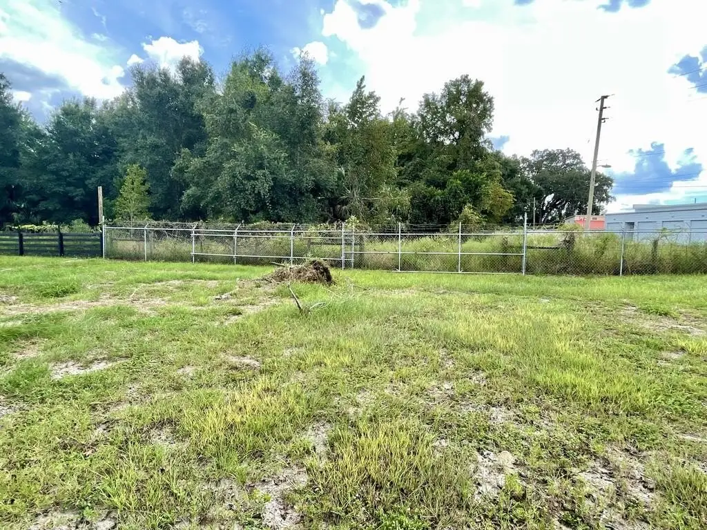 Picture 17