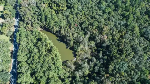 Tallahassee Land with Pond