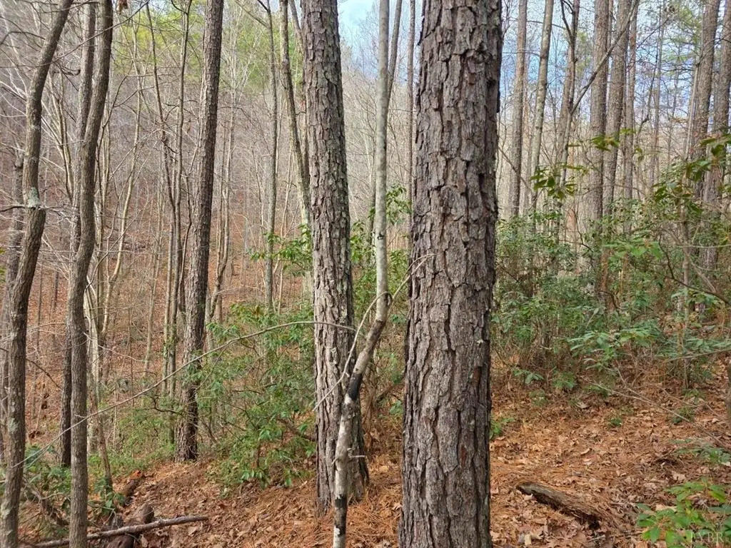 Picture 24
