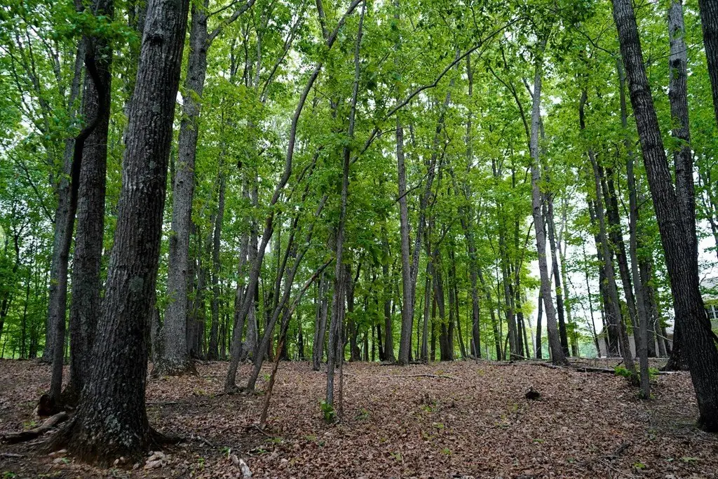 Picture 47