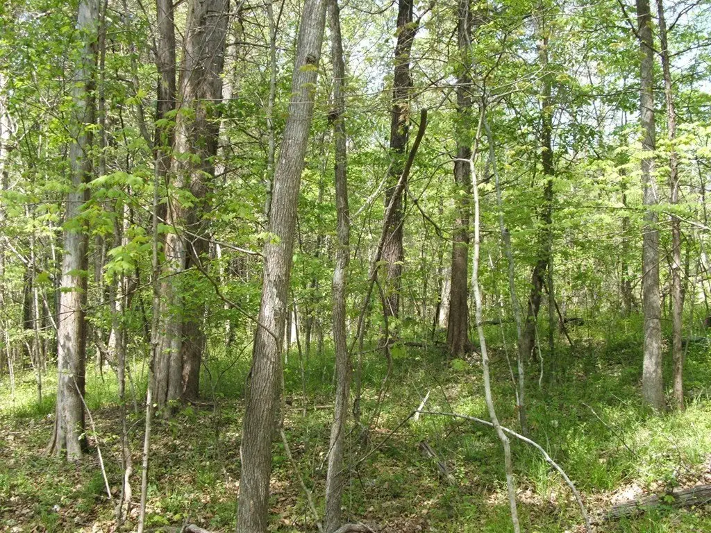 Picture 2