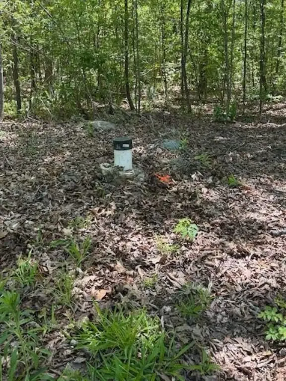 Picture 10
