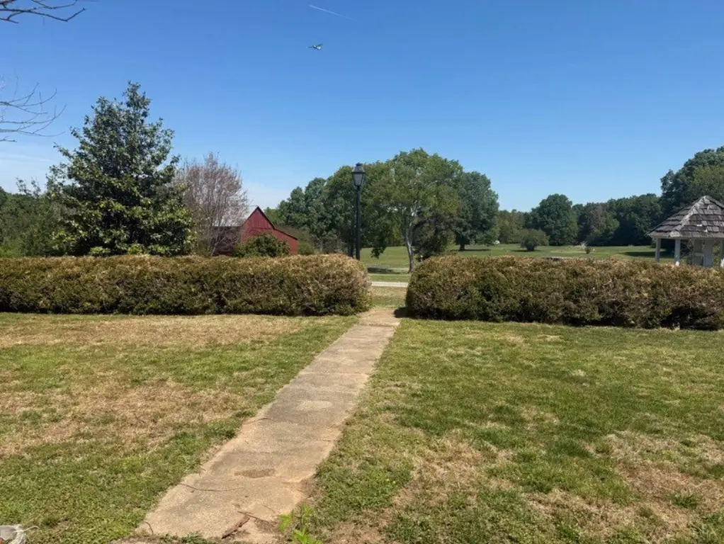 Picture 25