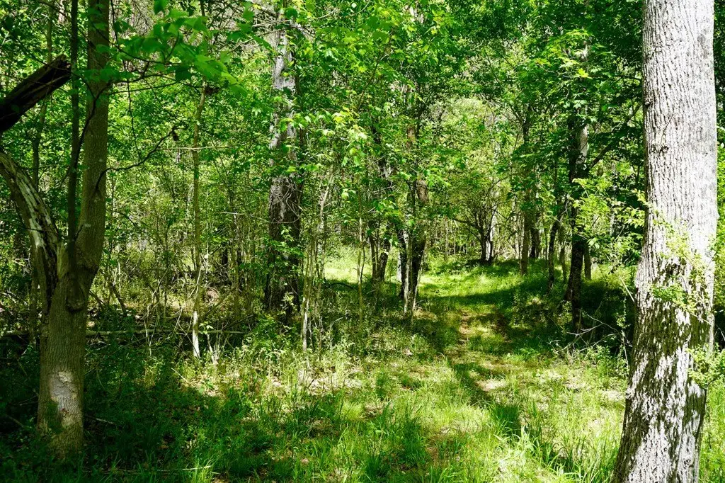 Picture 29