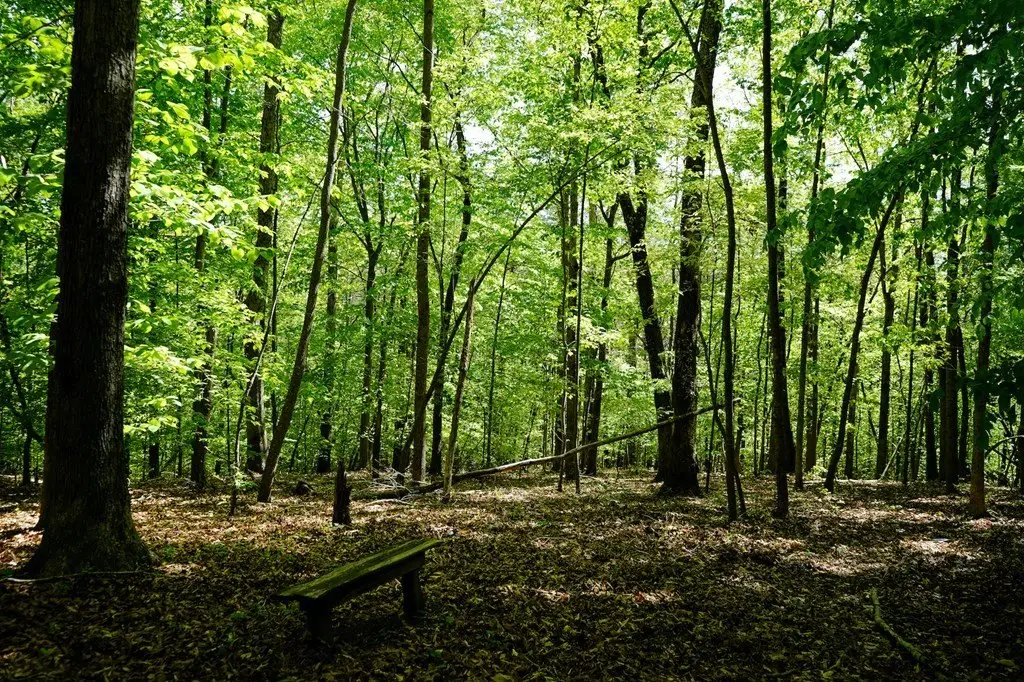 Picture 25