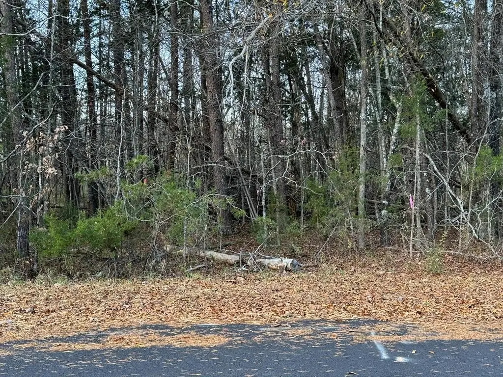 Picture 3