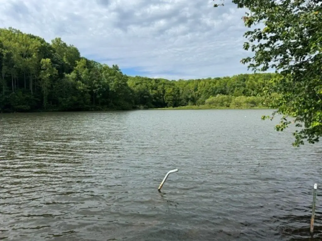 Picture 3
