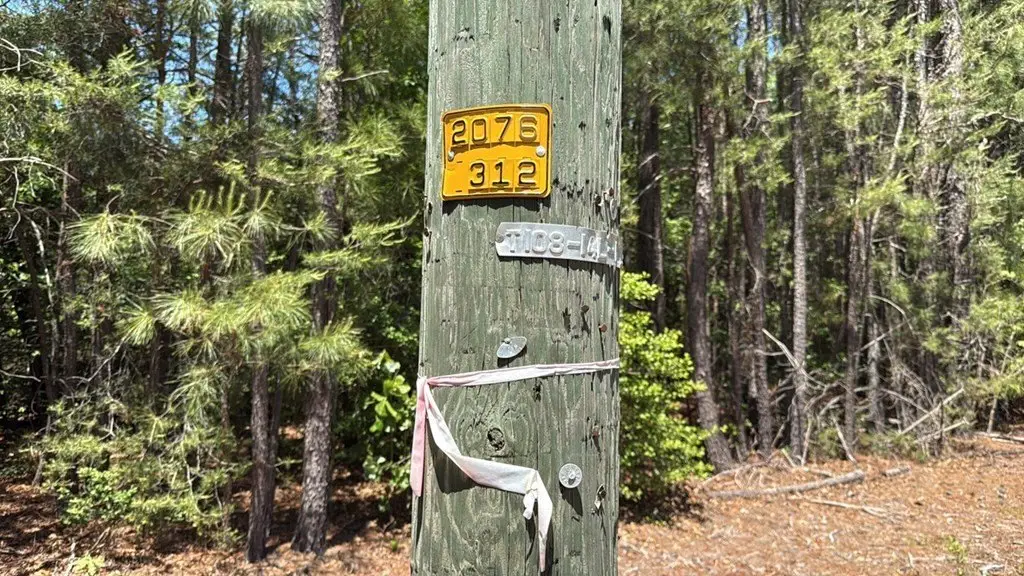 Picture 3