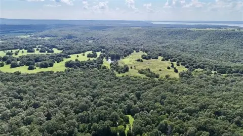 Heavily Wooded Hunting Land Tract