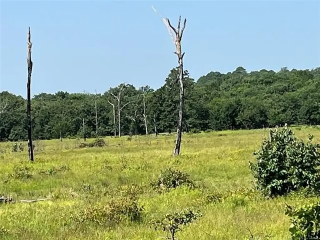 Picture 11