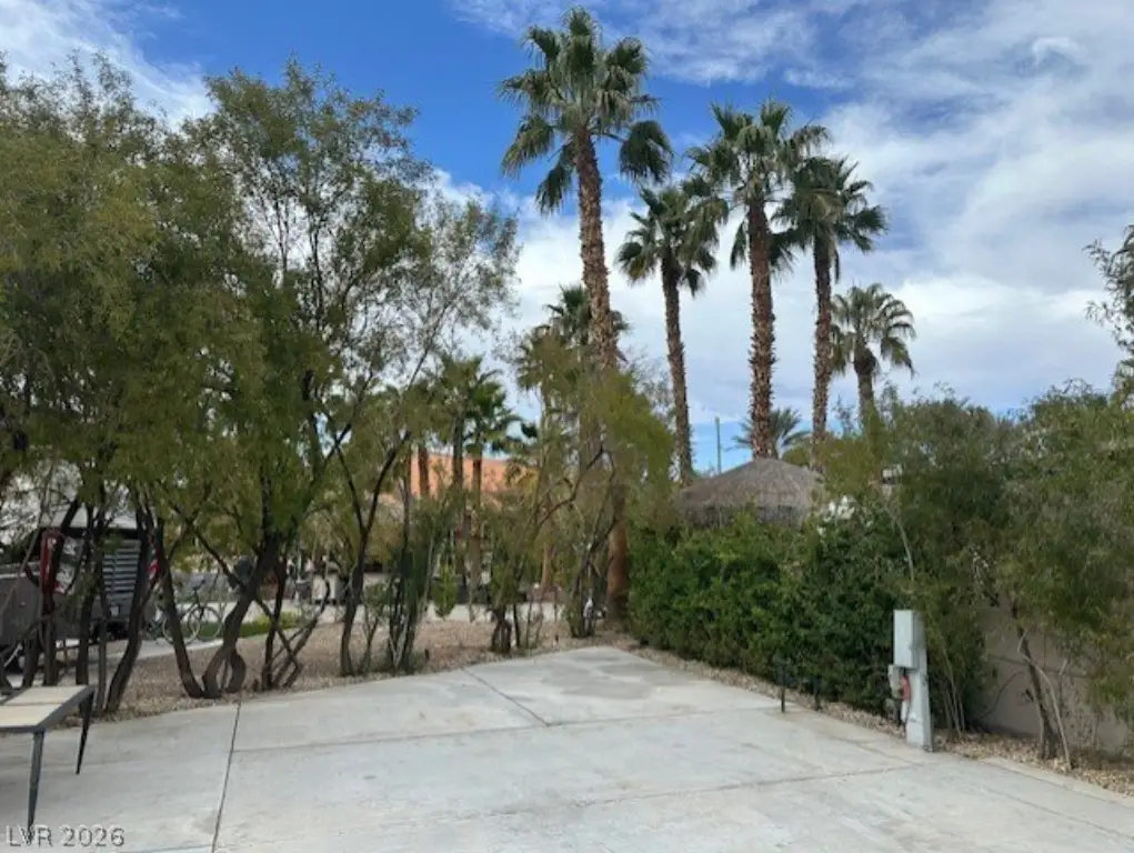 Picture 5