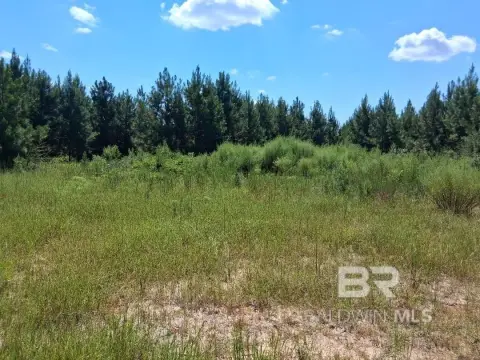 Unrestricted 3-Acre Parcel in Robertsdale