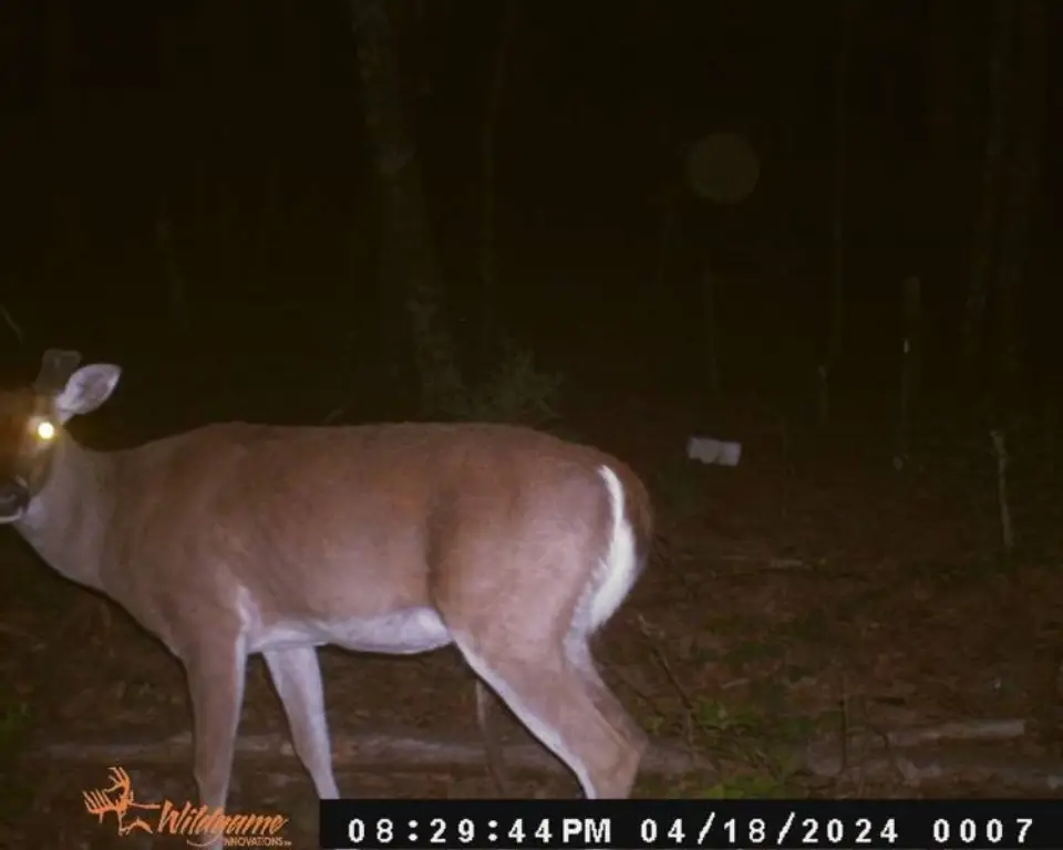 Picture 15
