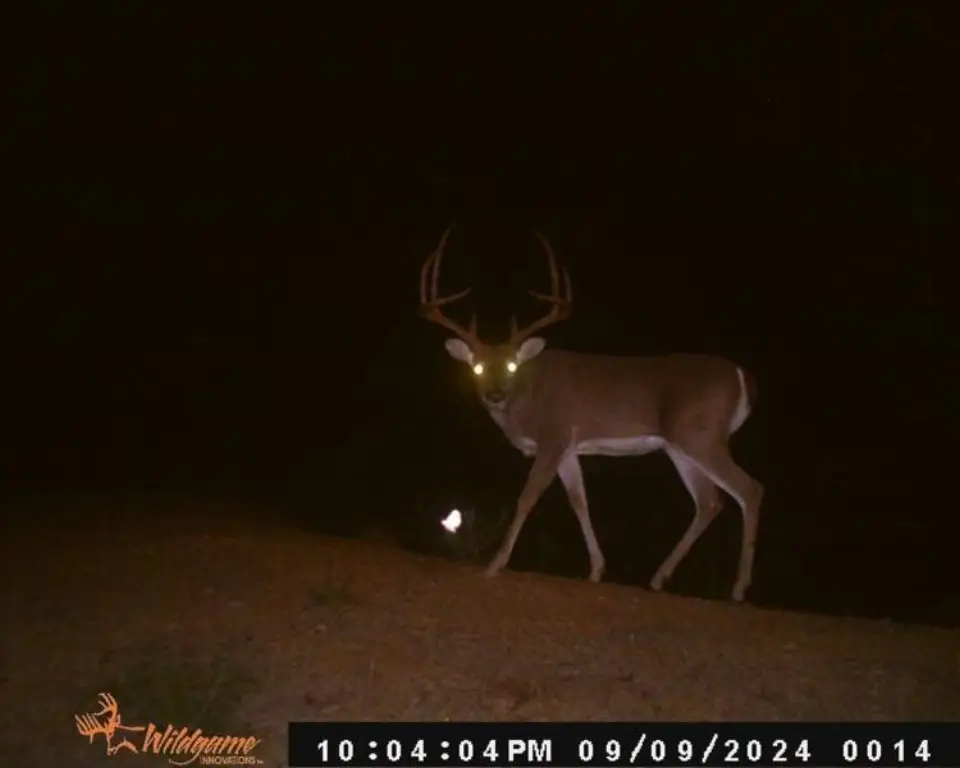 Picture 12