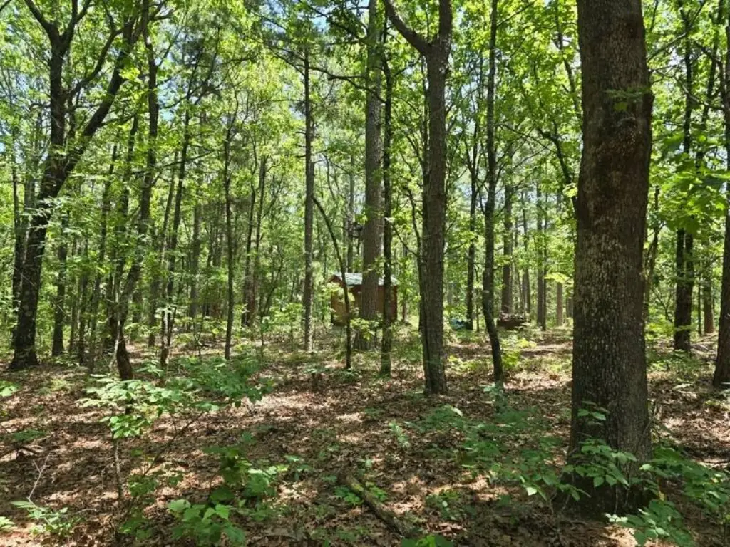 Picture 20