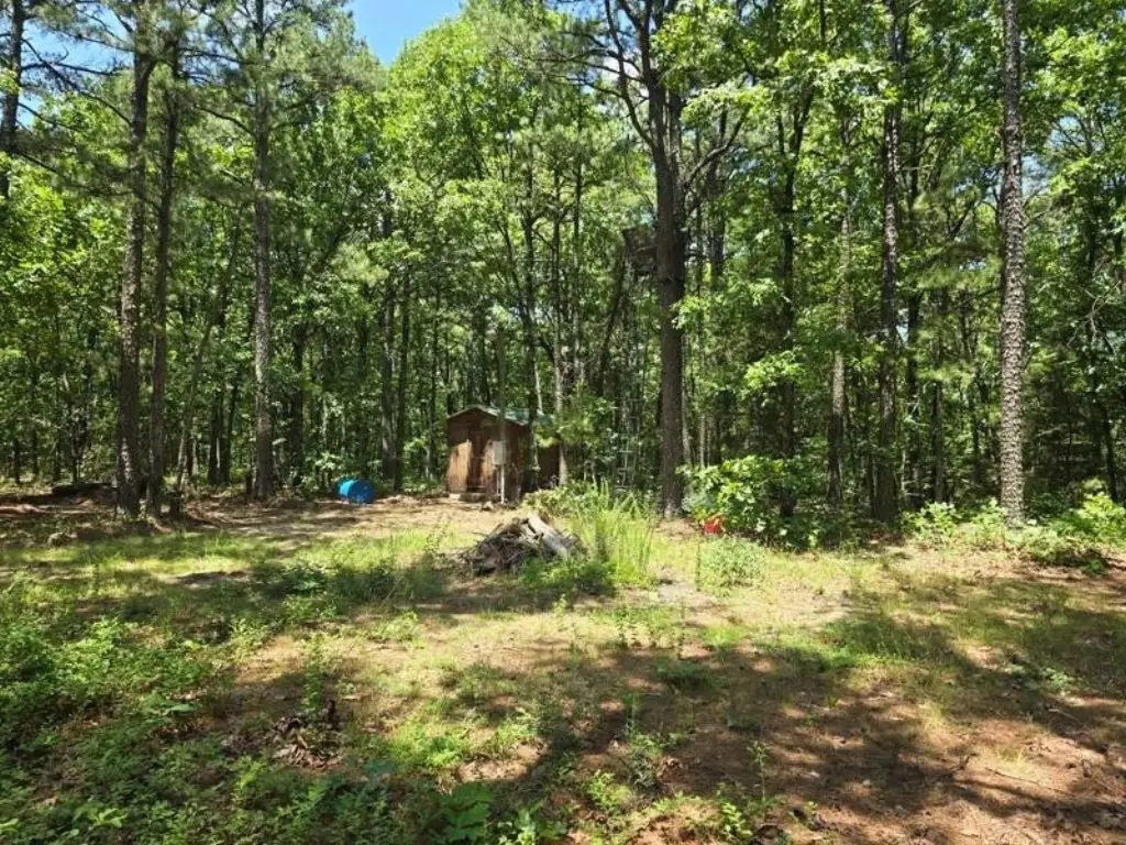 Picture 18
