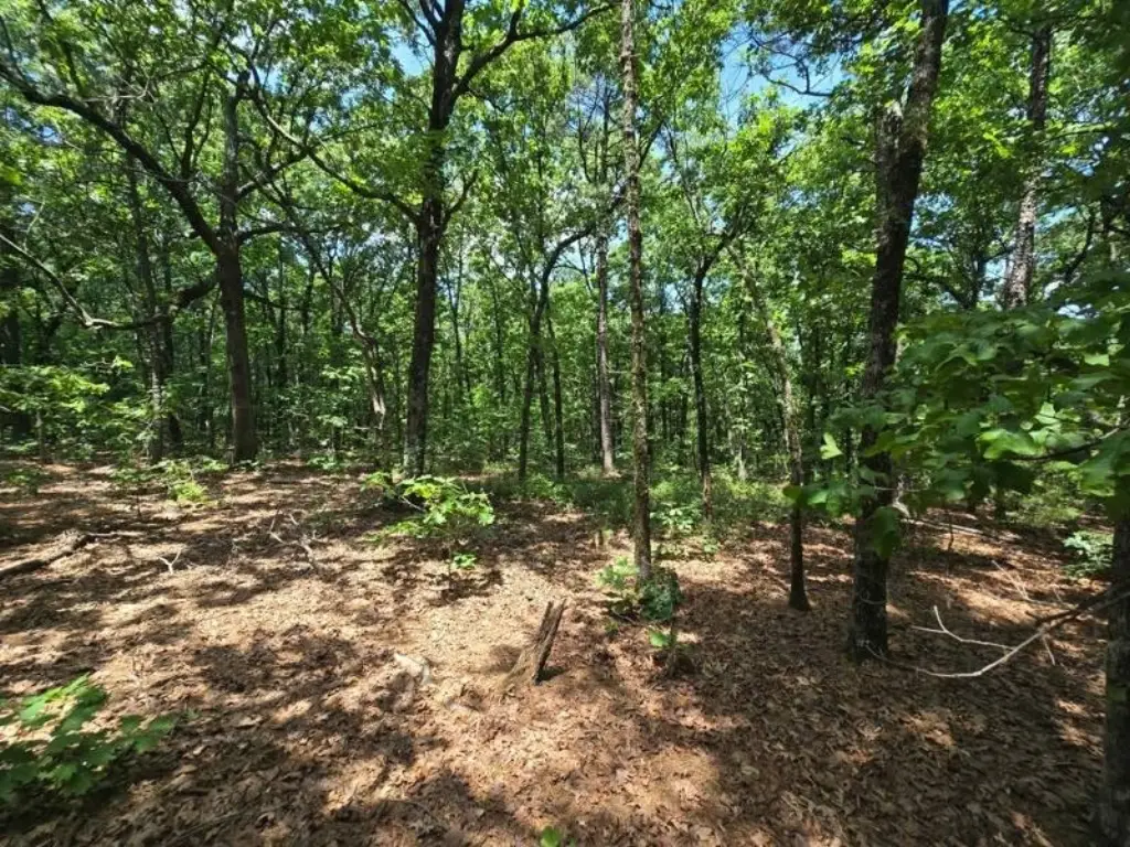 Picture 19