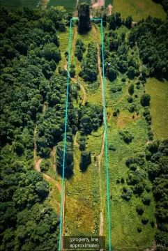 Wooded Land in Madison Twp