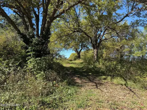 Land Near Newtonia Branch