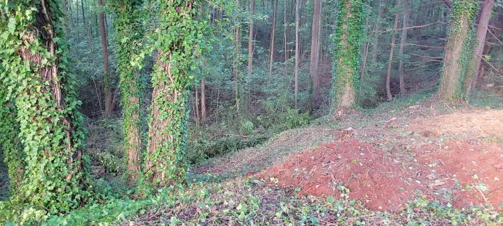 Picture 3