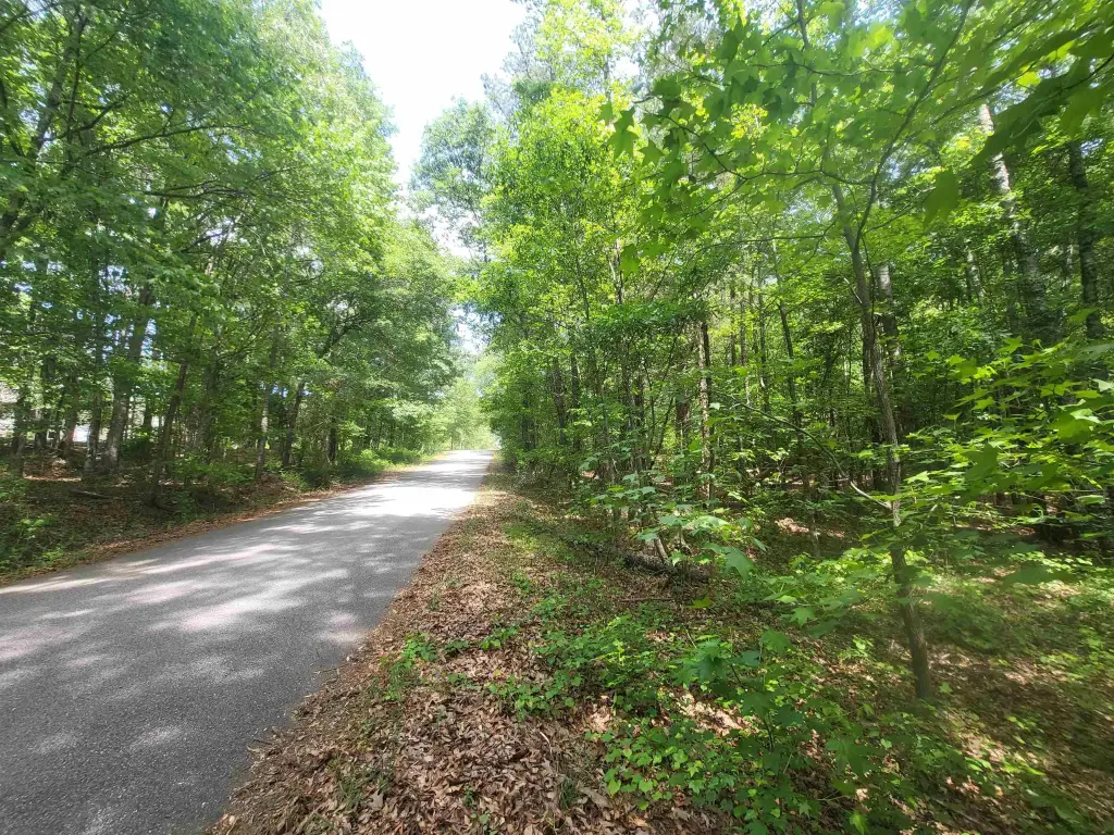 Picture 7