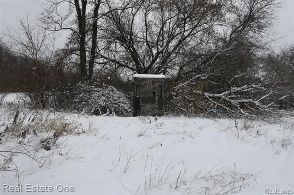Picture 12