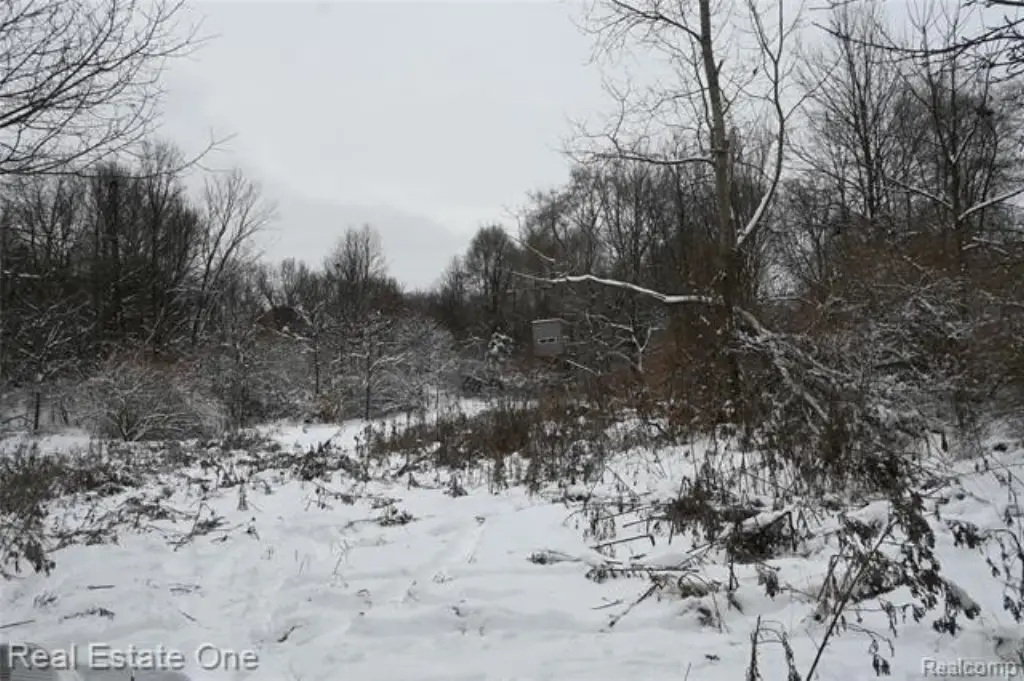 Picture 15
