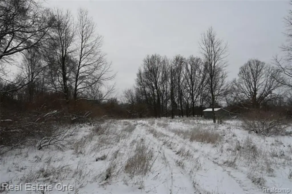 Picture 27