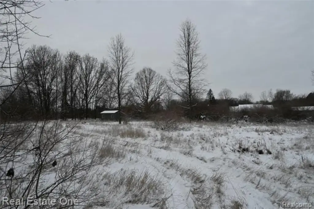 Picture 25