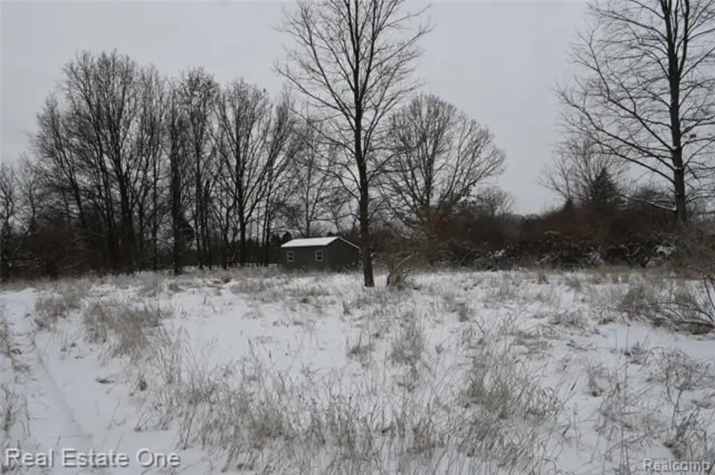 Picture 31