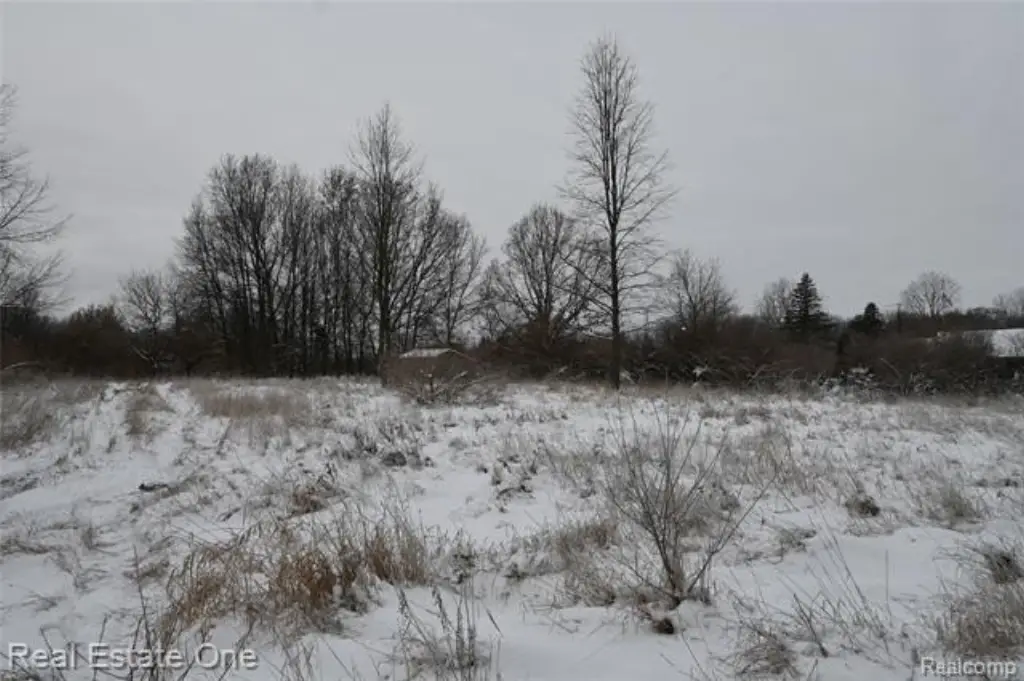 Picture 29
