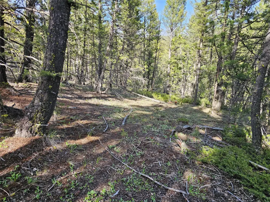 Picture 21