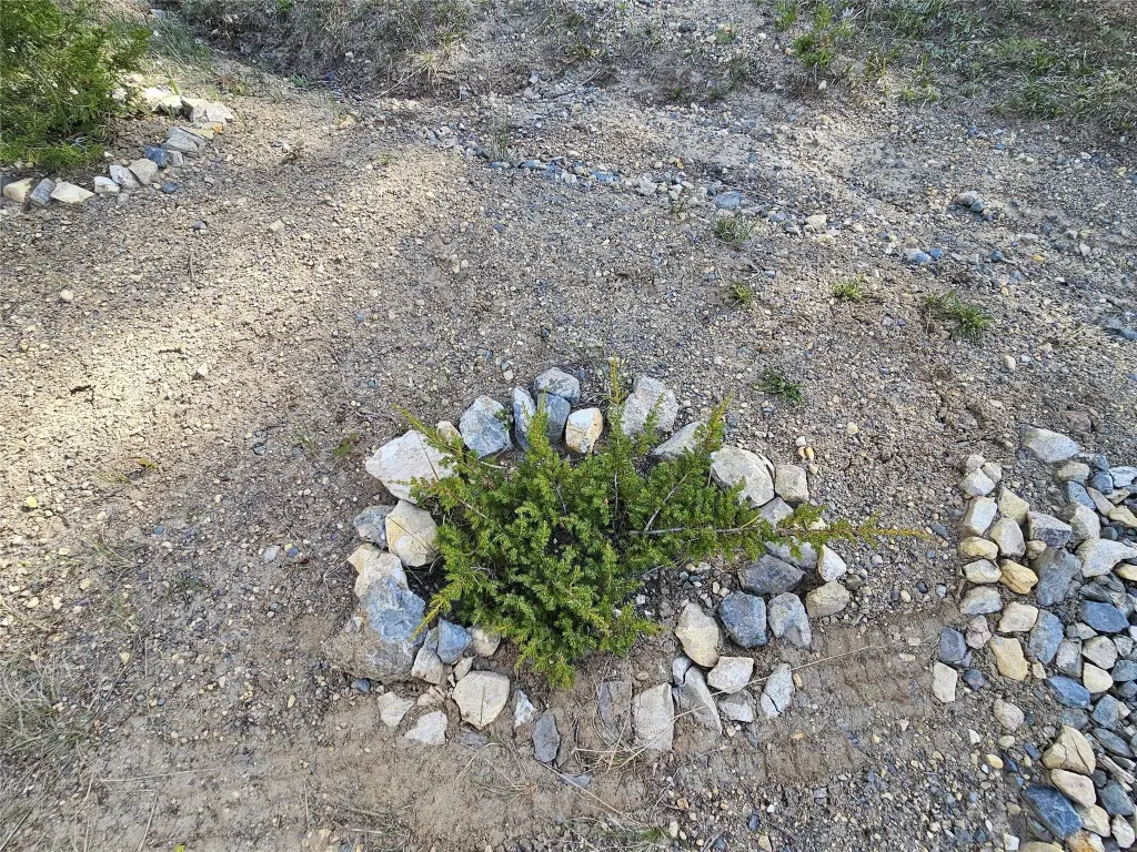 Picture 28