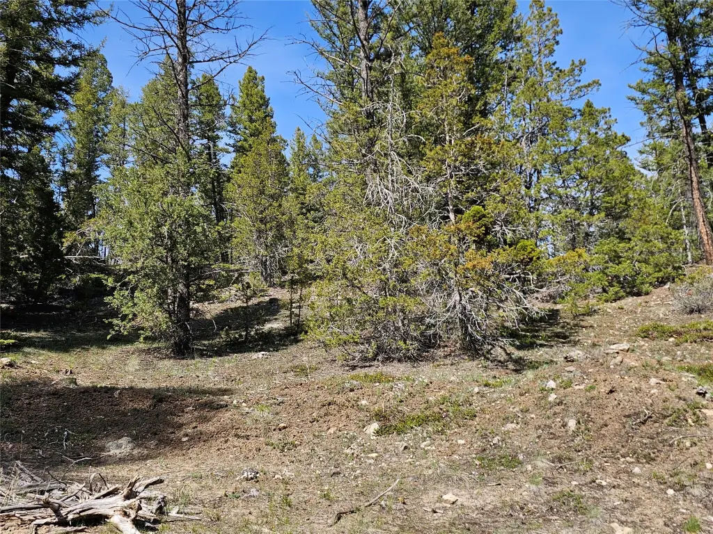 Picture 4