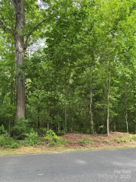 Monroe Land in White Oaks