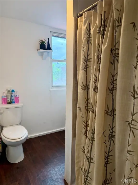 Picture 23