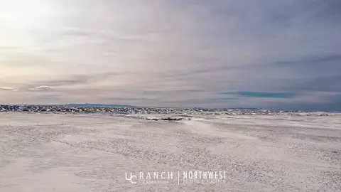 2930-Acre Grazing Land Near Malta, MT