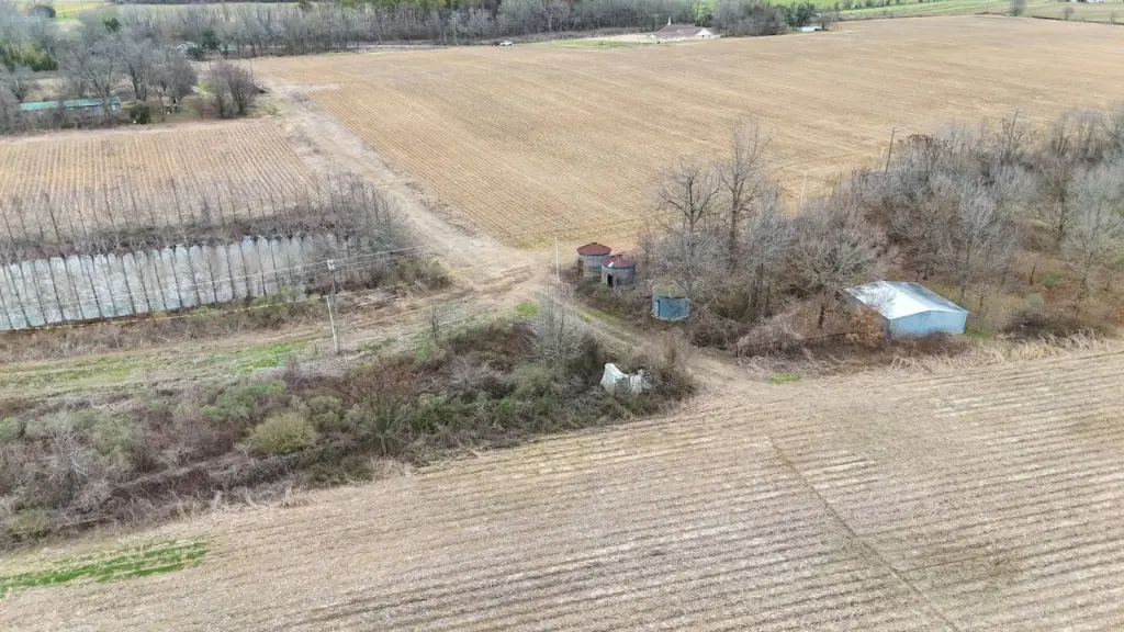 Picture 15