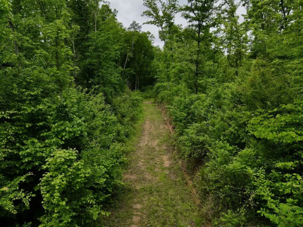 Picture 46