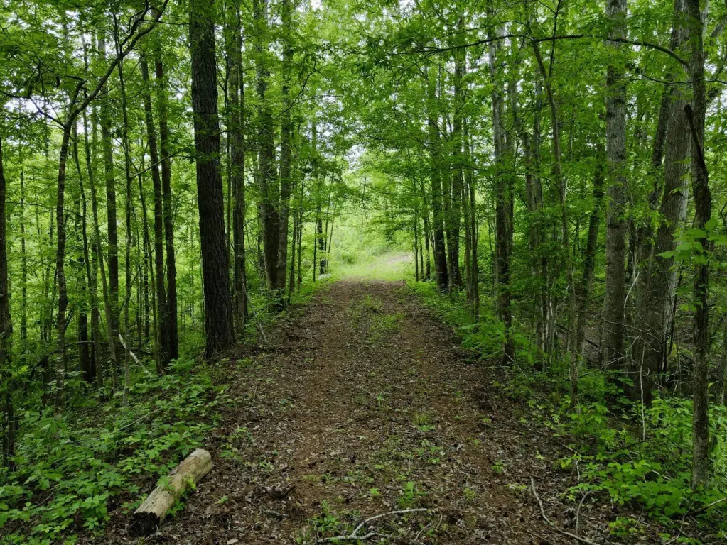 Picture 40