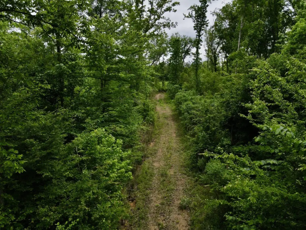 Picture 43