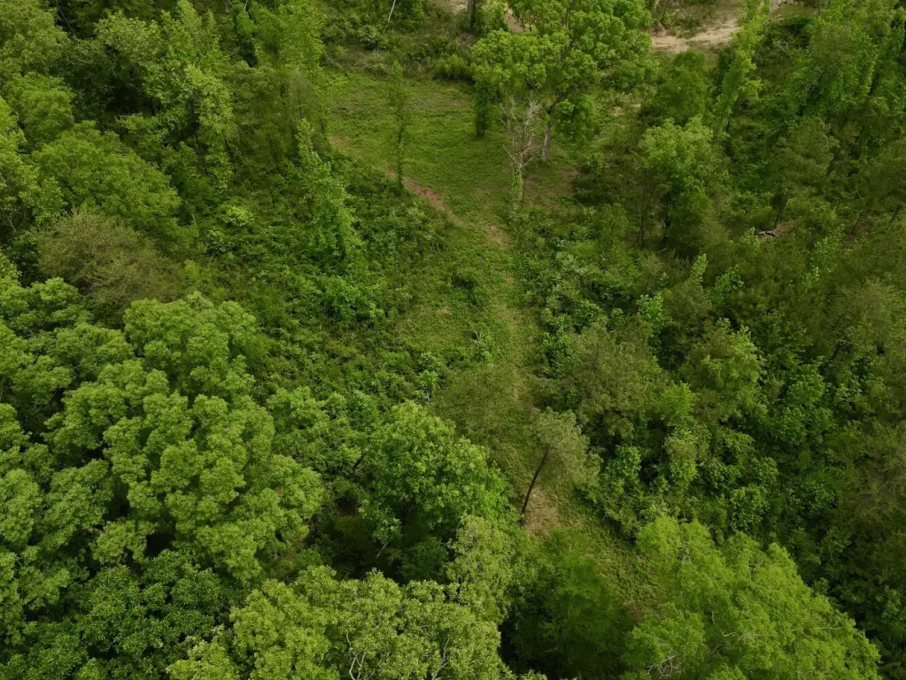 Picture 20