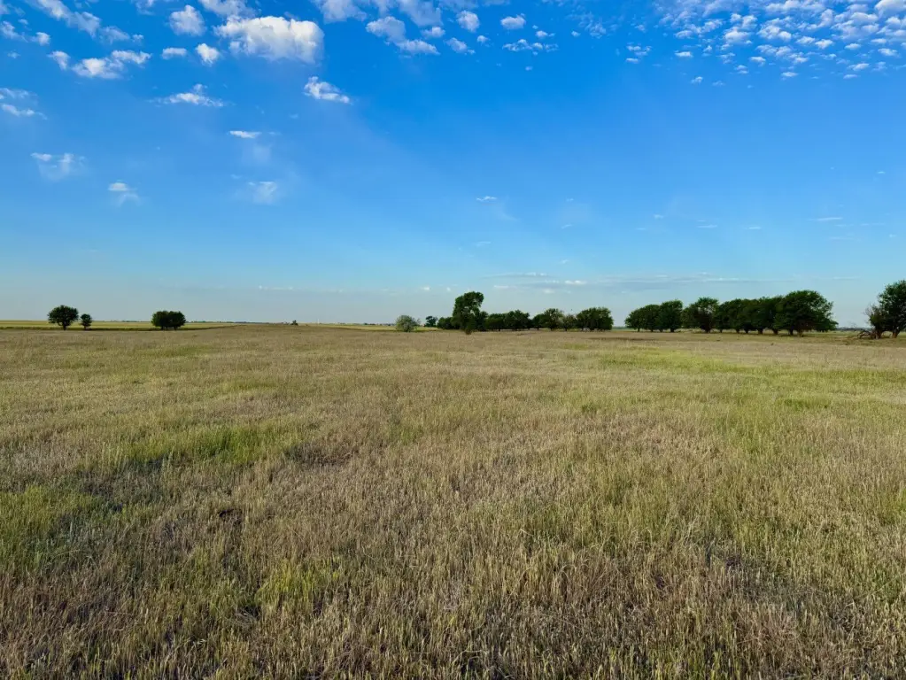 Picture 22