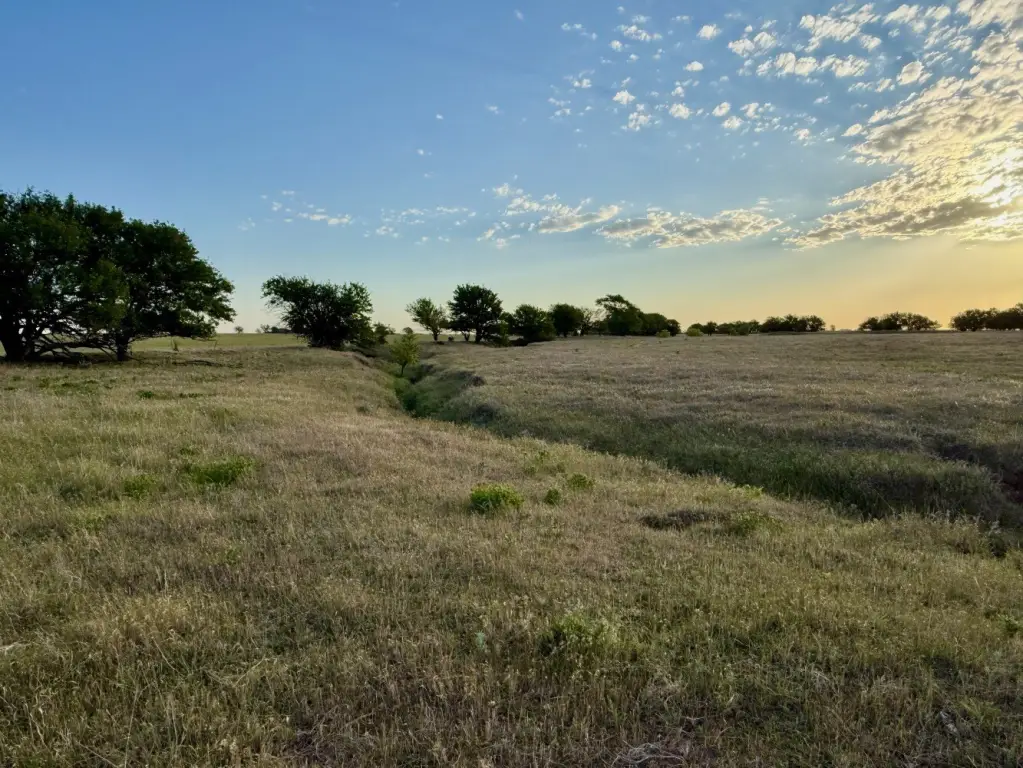 Picture 23