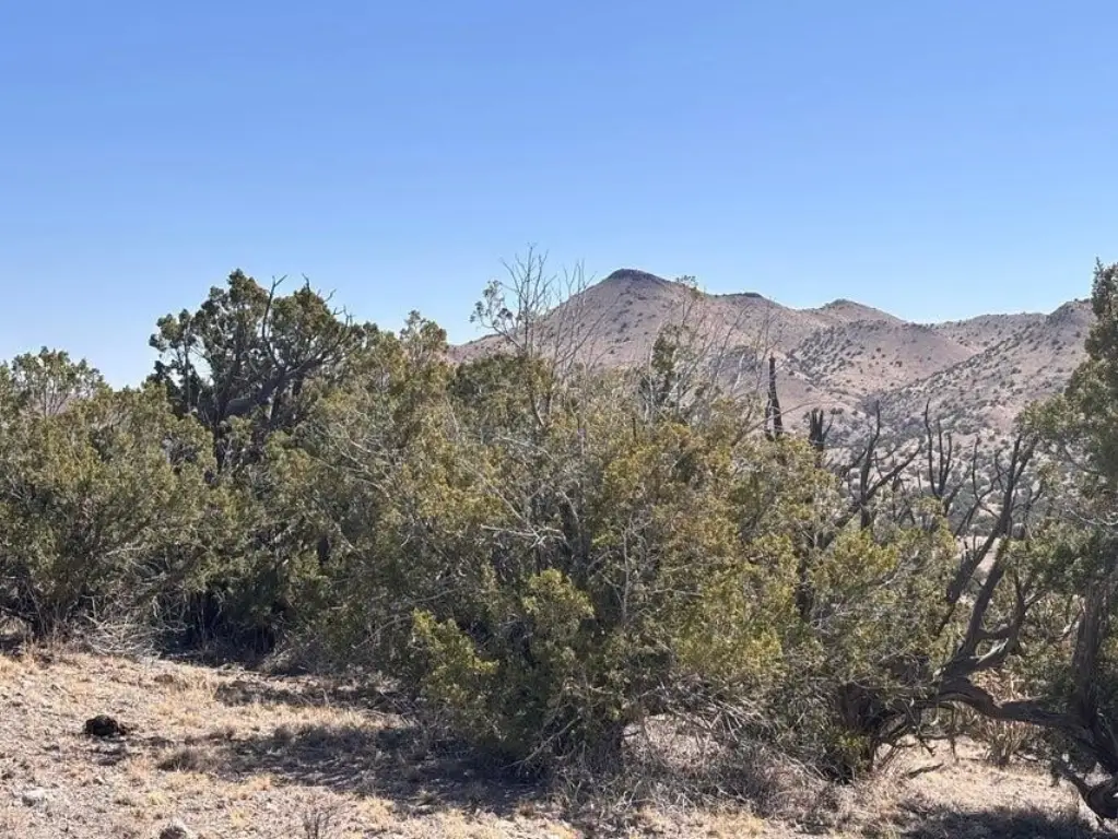 Picture 3