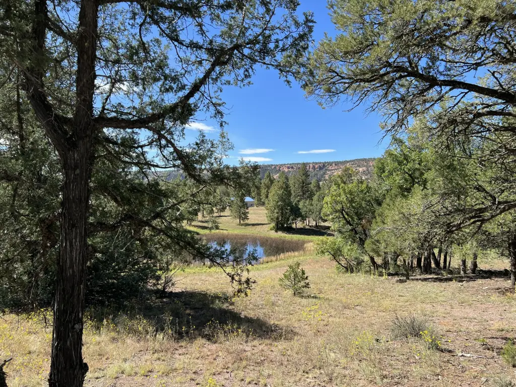 Picture 23