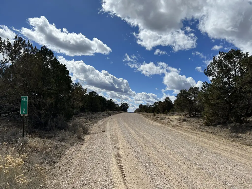 Picture 18